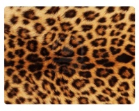 Sticky 'N Grippy Leopard Skin Screen Cleaner
